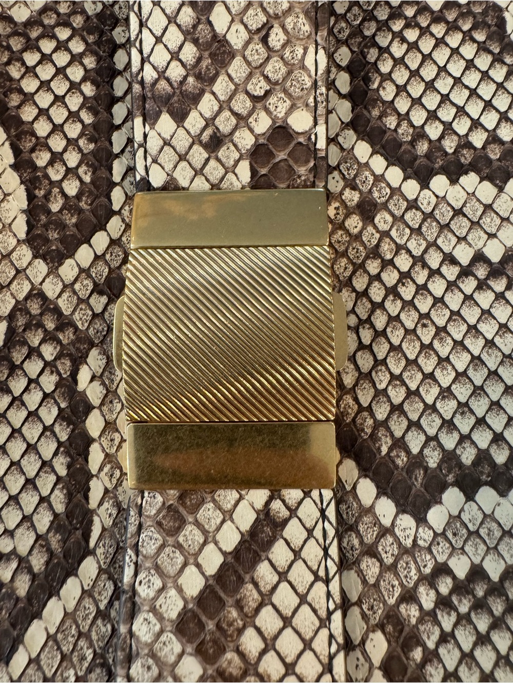 Bottega Veneta Python Marie bag - Picture 5 of 14